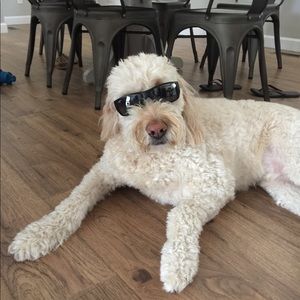 Meet your Posher, Travis